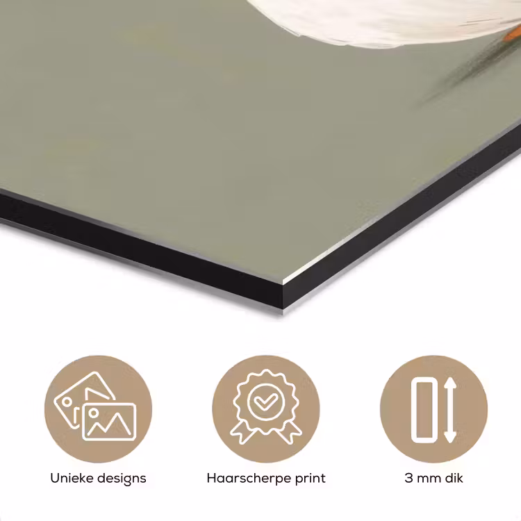 Aluminium schilderij - Eend - Konijnoren - Grijs — 7