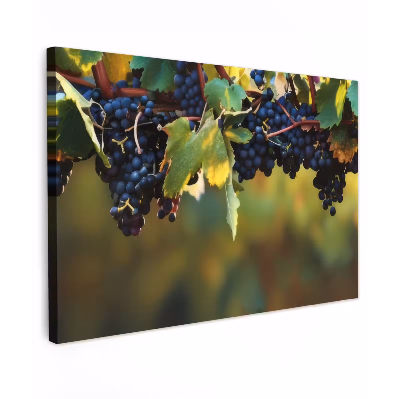 Canvas schilderij - Druiven - Wijn - Natuur - Groen — 1