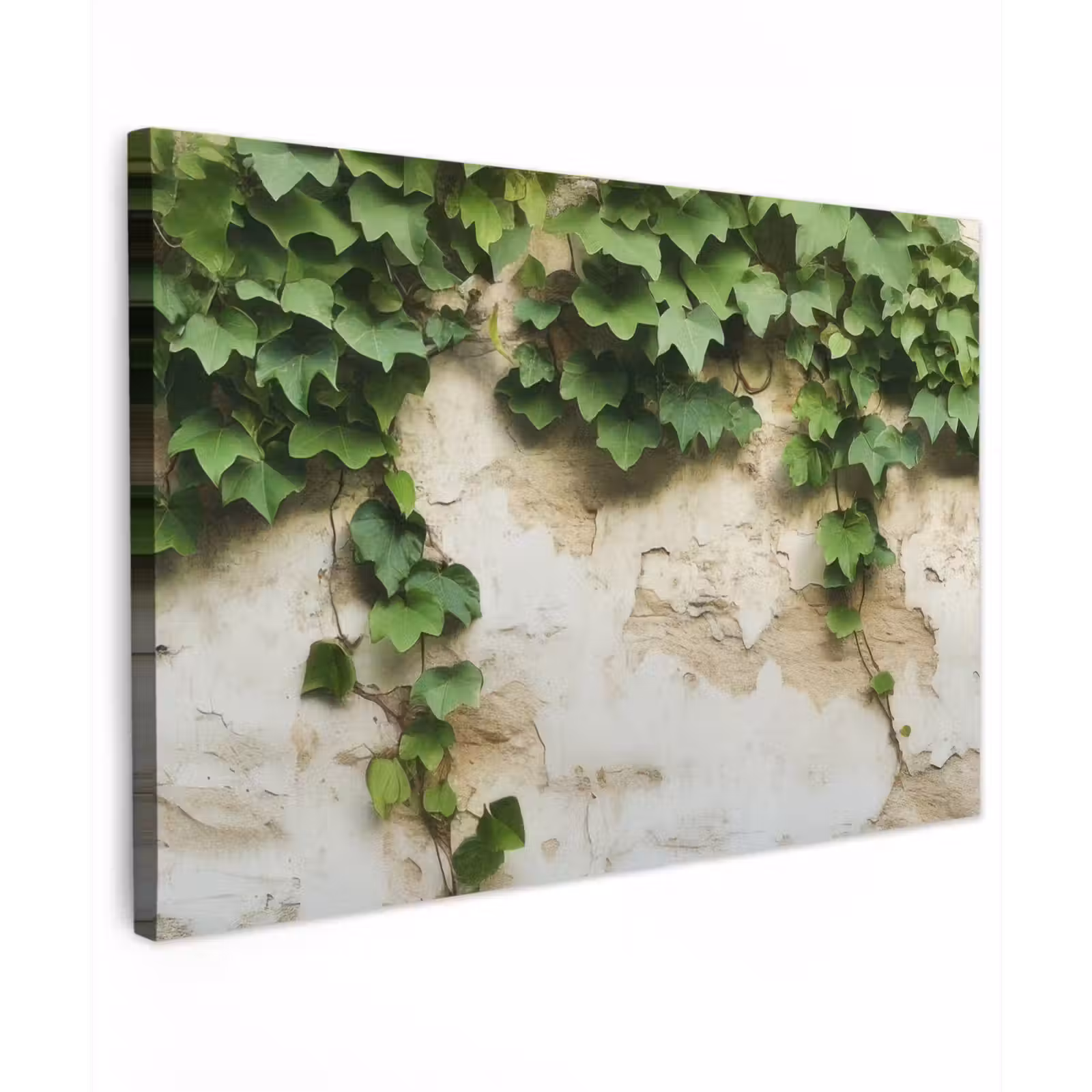 Canvas schilderij - Klimop - Muur - Groen — 1