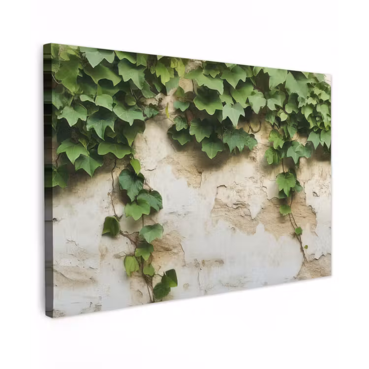 Canvas schilderij - Klimop - Muur - Groen — 1