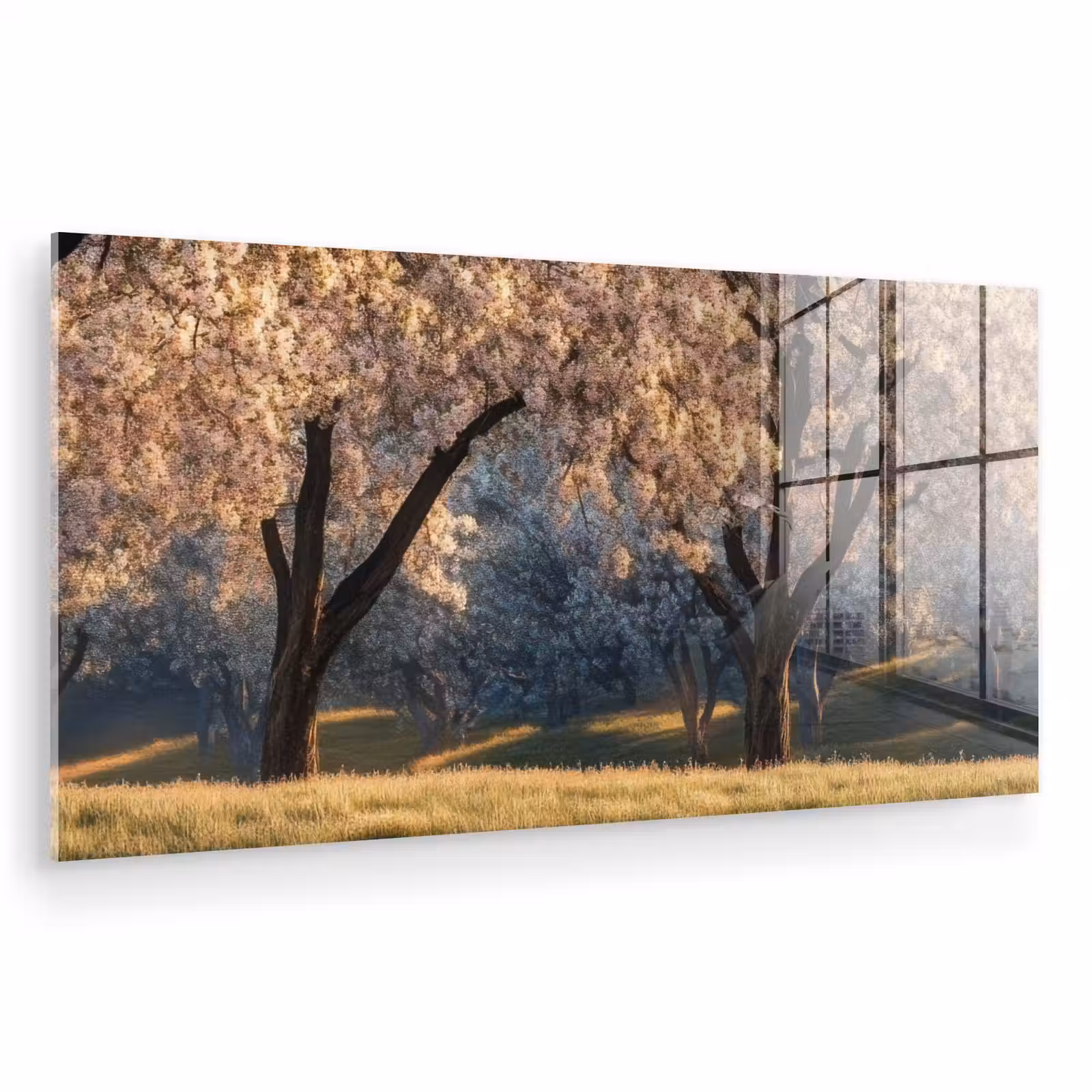 Glas schilderij - Bomen - Bloesem - Lente — 1