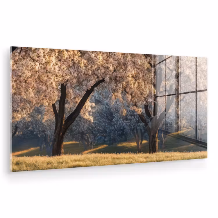 Glas schilderij - Bomen - Bloesem - Lente — 1