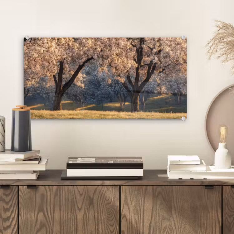 Glas schilderij - Bomen - Bloesem - Lente — 2