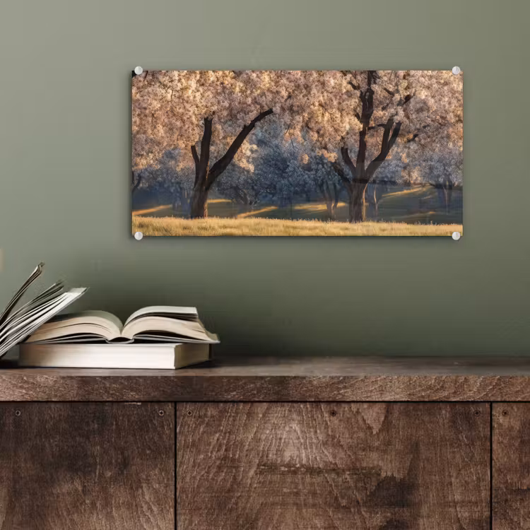 Glas schilderij - Bomen - Bloesem - Lente — 4