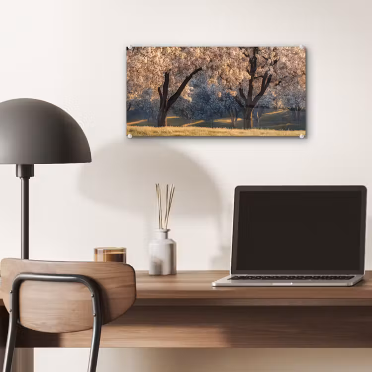 Glas schilderij - Bomen - Bloesem - Lente — 7