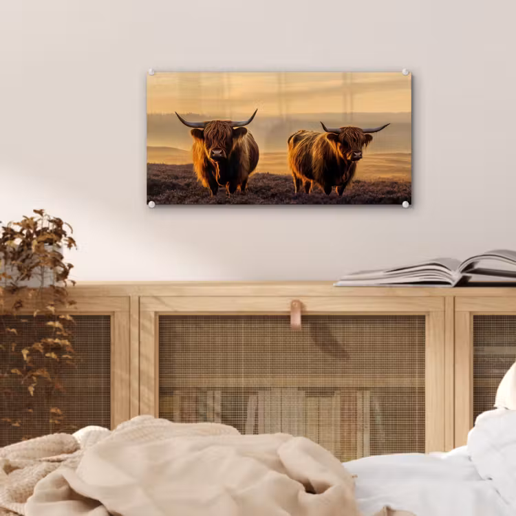 Glas schilderij - Schotse hooglanders - Heide - Landschap - Dieren — 5