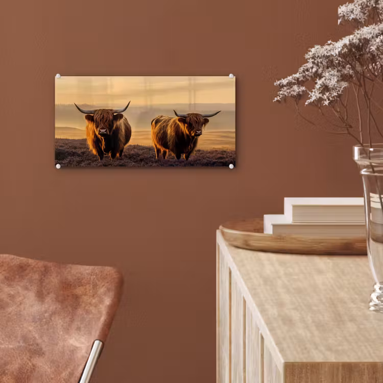 Glas schilderij - Schotse hooglanders - Heide - Landschap - Dieren — 6