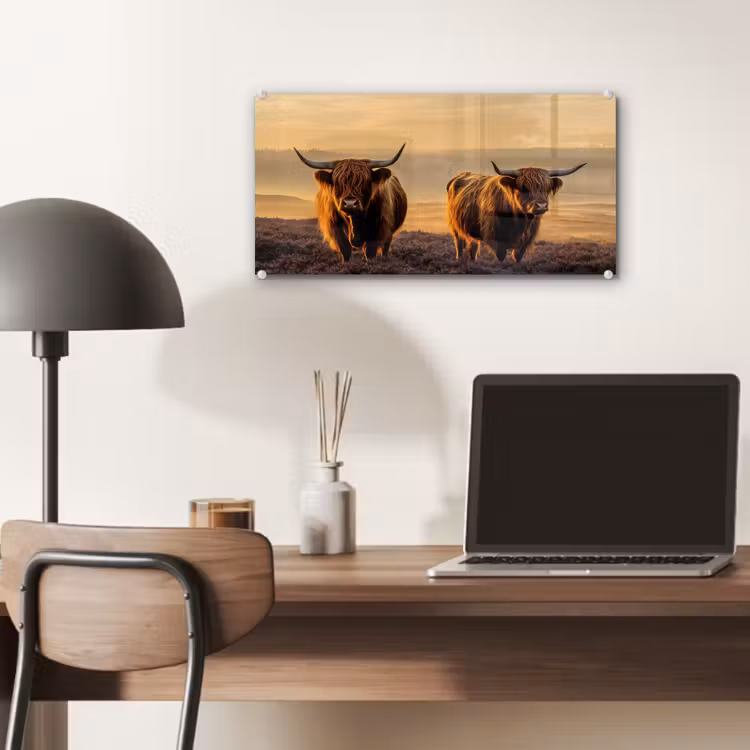 Glas schilderij - Schotse hooglanders - Heide - Landschap - Dieren — 7
