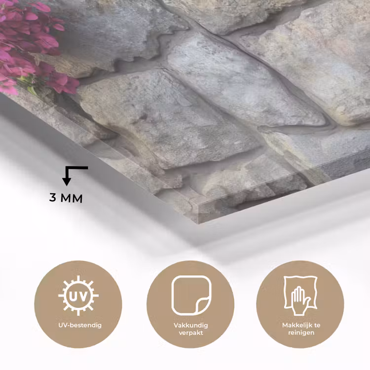 Glas schilderij - Bougainvillea - Stenen Muur - Roze — 3