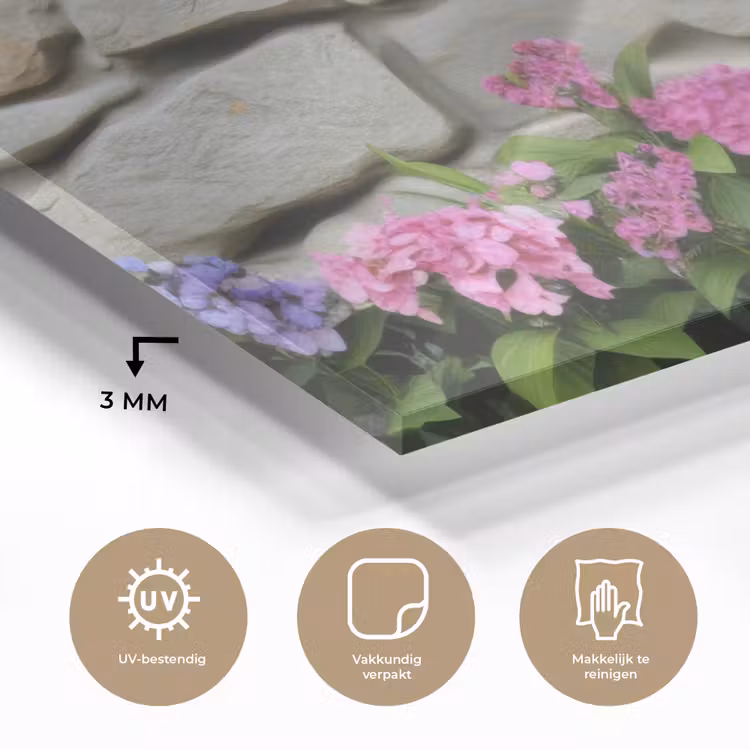 Glas schilderij - Hortensia’s - Stenen - Muur - Bloemen — 3