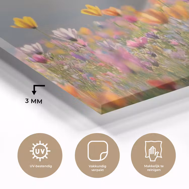 Glas schilderij - Bloemenveld - Bergen - Zonlicht - Bloemen — 3