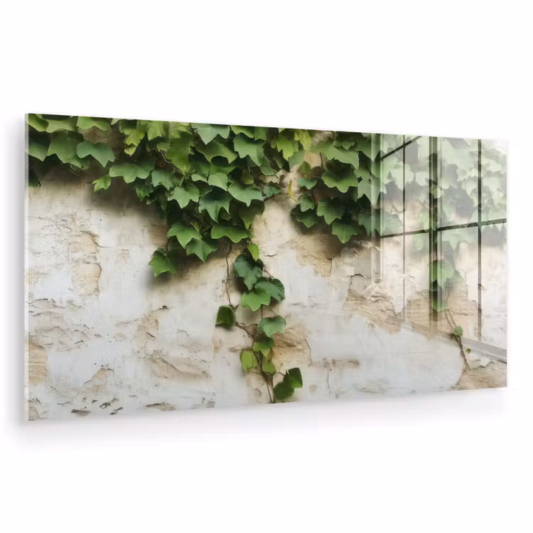 Glas schilderij - Klimop - Muur - Groen — 1