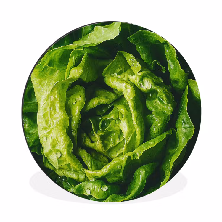 Wandcirkel - aluminium - Groente - Sla - Groen — 1