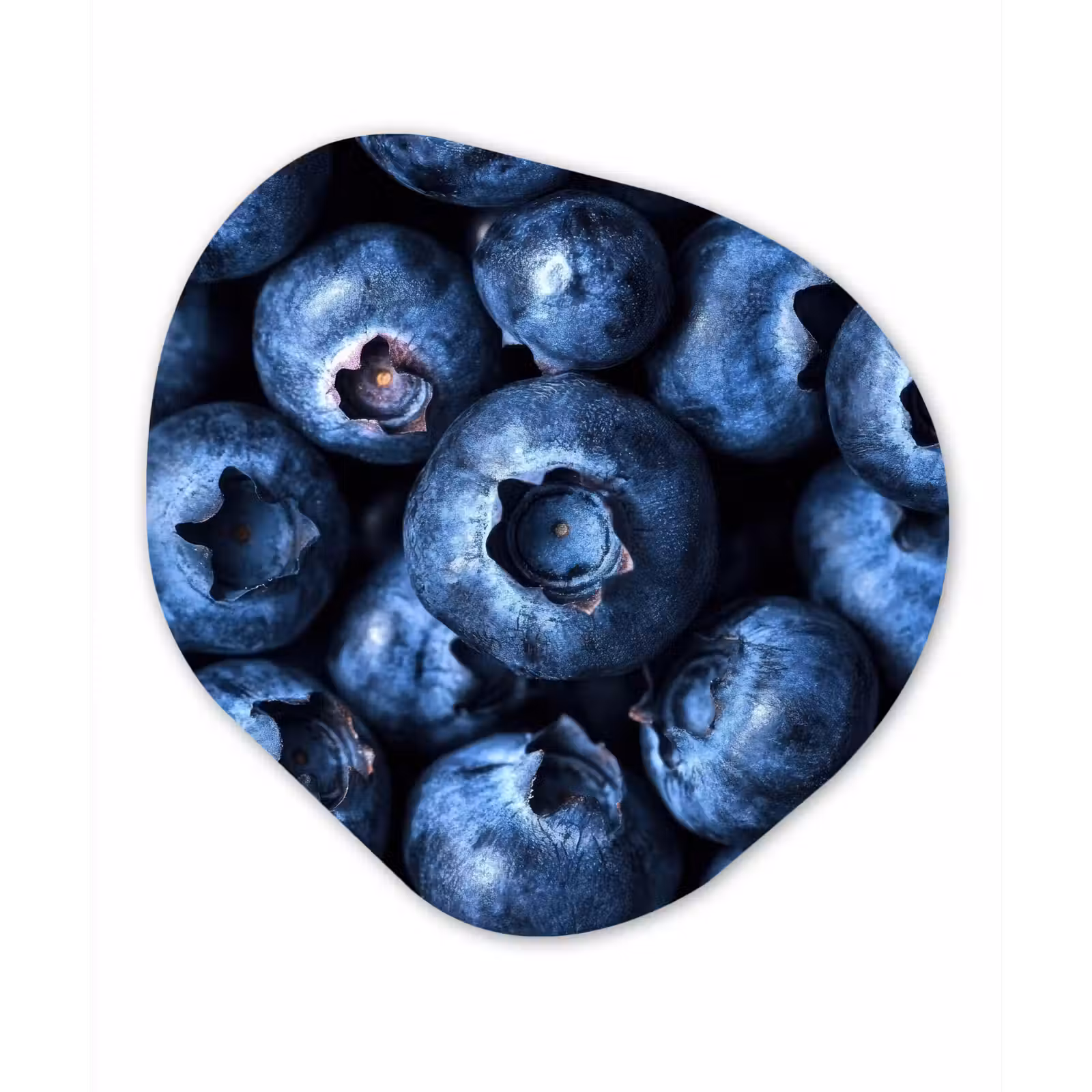 Organisch schilderij – Bessen - Blauw - Fruit — 1
