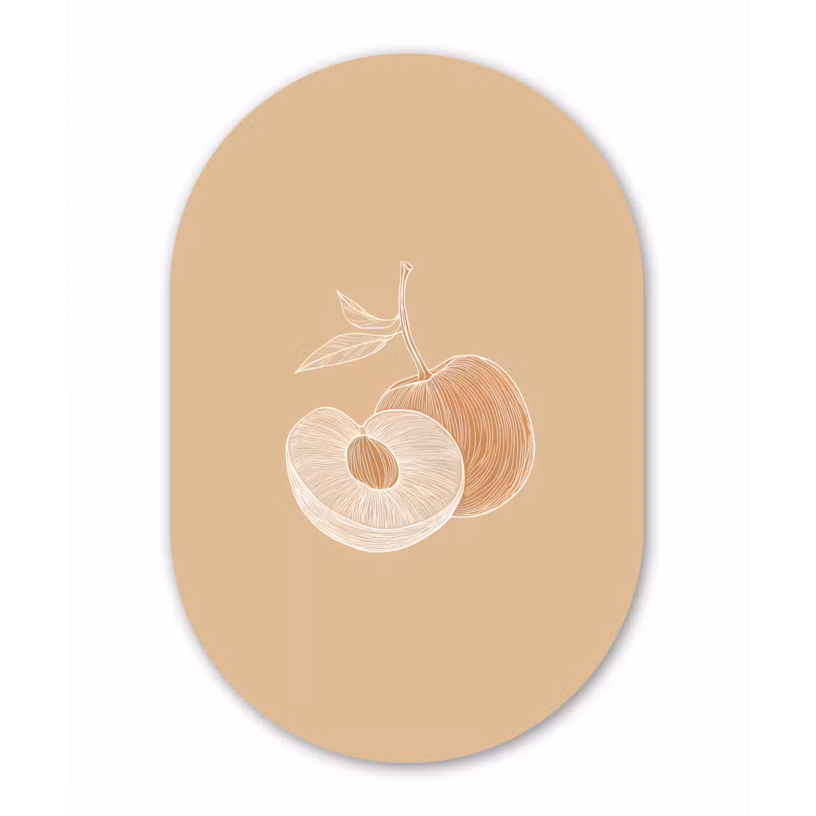 Muurovaal Glas – Perzik - Lijntekening - Pit - Beige — 1