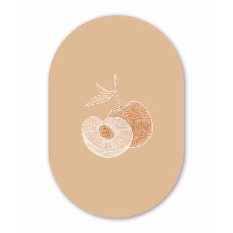 Muurovaal Glas – Perzik - Lijntekening - Pit - Beige — 1