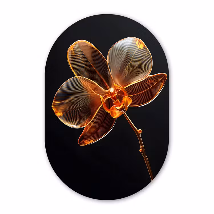 Muurovaal Glas – Orchidee - Doorzichtig - Bloem — 1