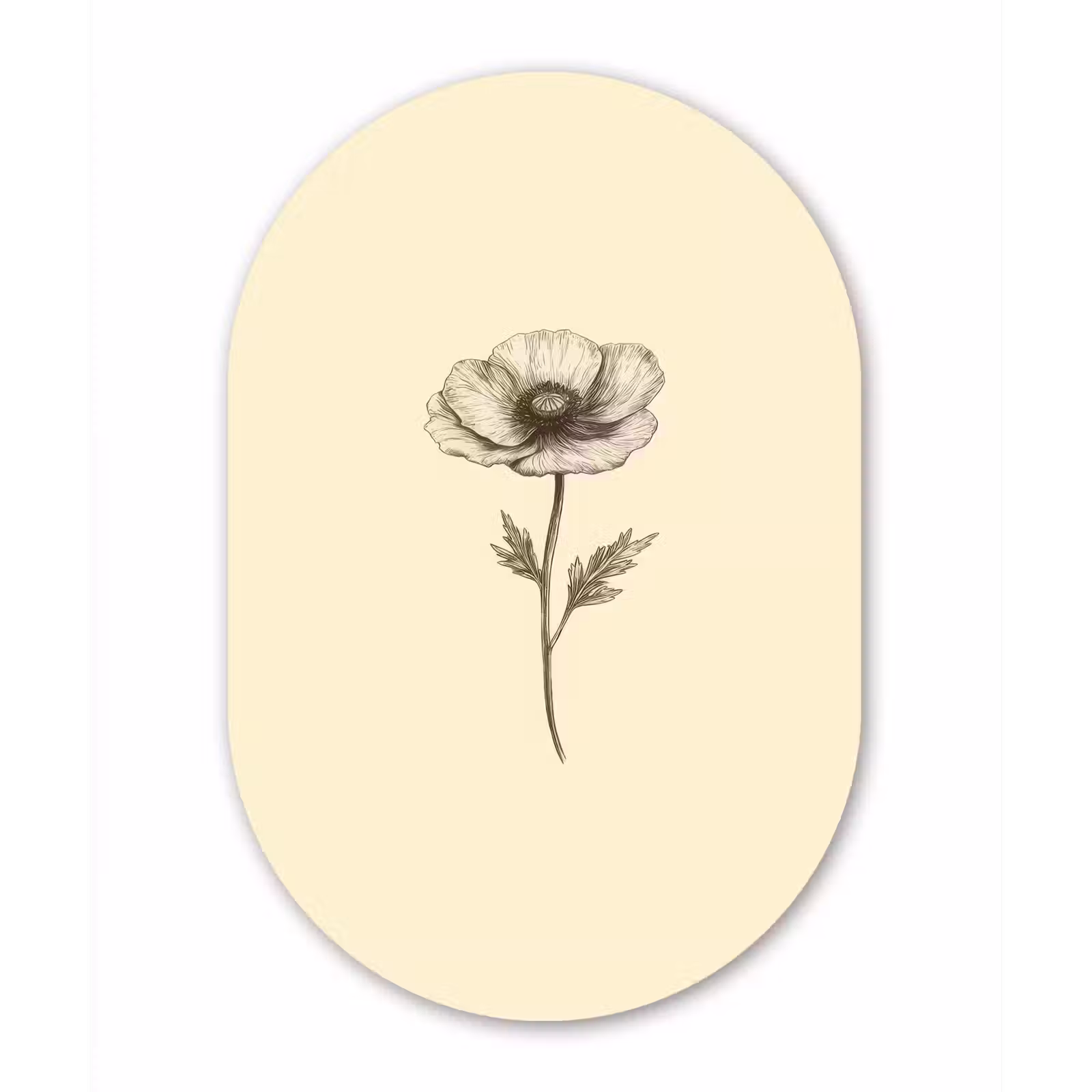 Muurovaal Glas – Klaproos - Illustratie - Zwart — 1