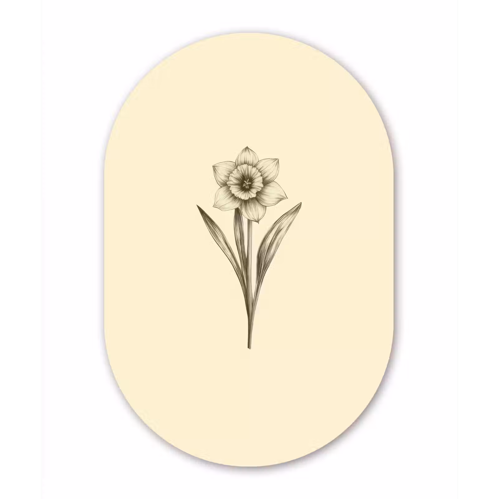Muurovaal Glas – Zwart - Narcis - Illustratie — 1