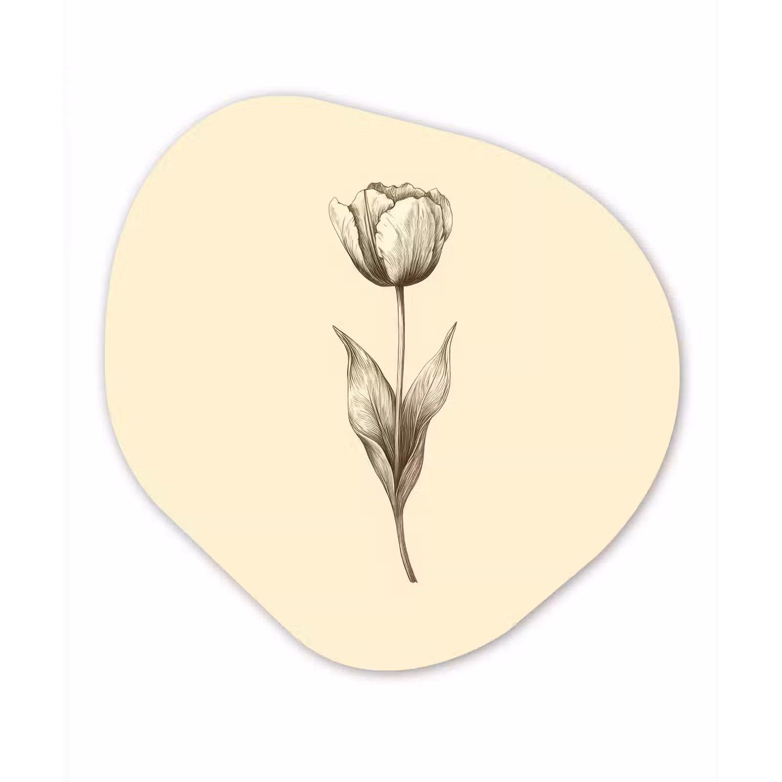 Organisch schilderij – Illustratie - Tulp - Zwart — 1