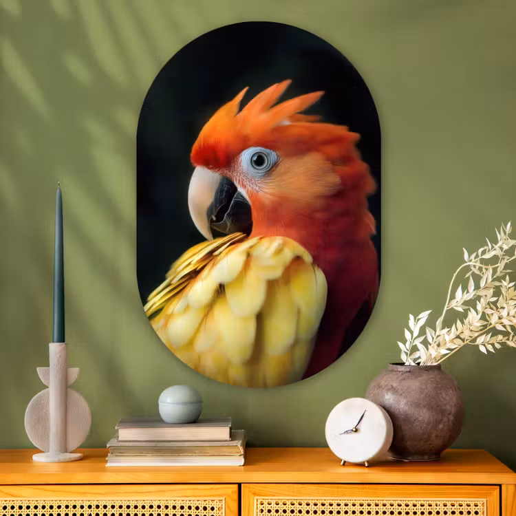 Wandoval Glas – Close-up - Papegaai - Veren - Oranje — 2
