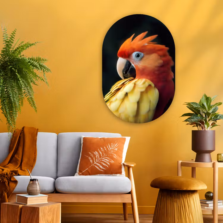 Wandoval Glas – Close-up - Papegaai - Veren - Oranje — 3