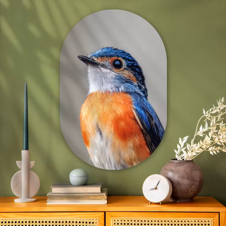 Wandoval Glas – Kleurrijk - Vogeltje - Veren - Blauw — 2