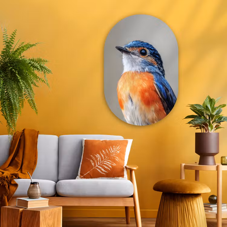Wandoval Glas – Kleurrijk - Vogeltje - Veren - Blauw — 3