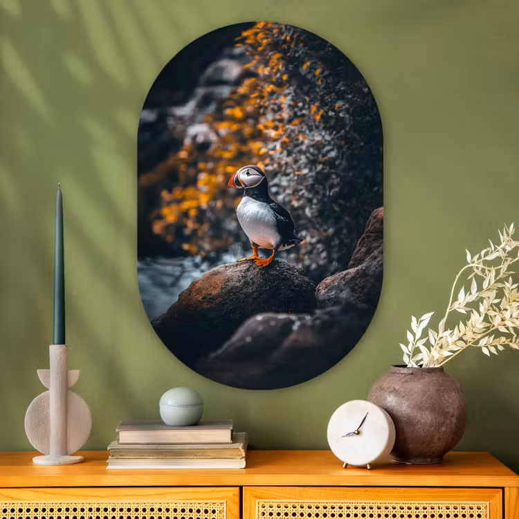 Wandoval Glas – Papegaai - Vogel - Rots - Wit — 2