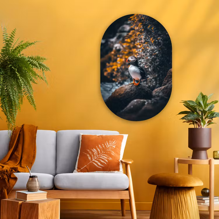 Wandoval Glas – Papegaai - Vogel - Rots - Wit — 3