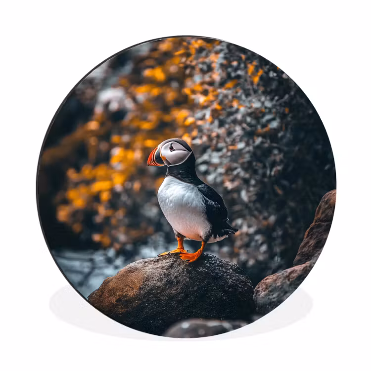 Wandcirkel - aluminium - Papegaai - Vogel - Rots - Wit — 1