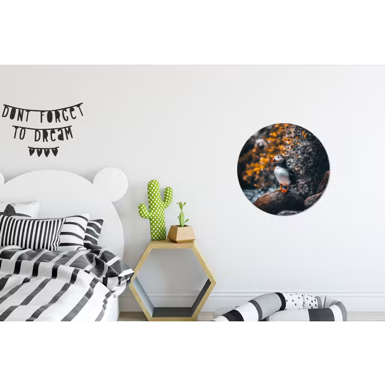 Wandcirkel - aluminium - Papegaai - Vogel - Rots - Wit — 5