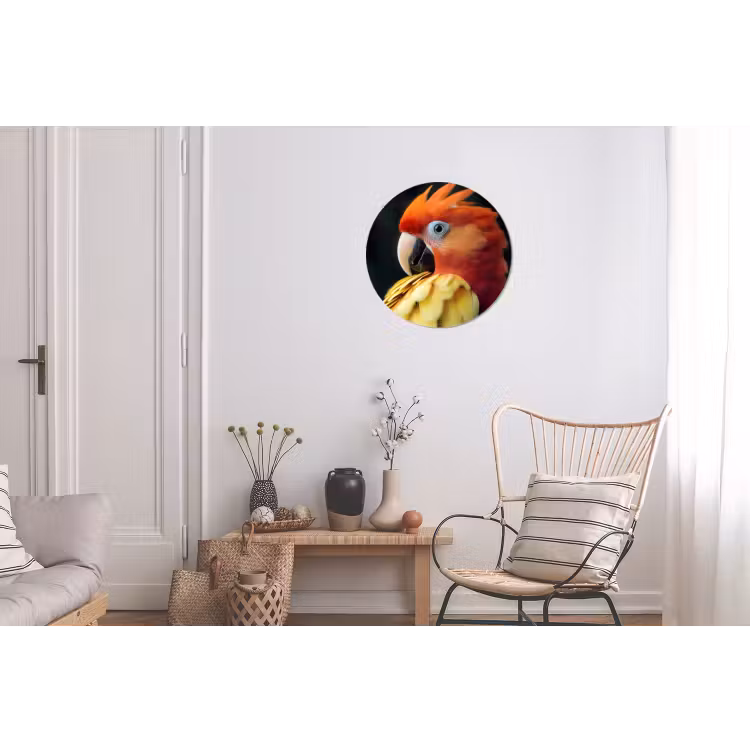 Wandcirkel - aluminium - Close-up - Papegaai - Veren - Oranje — 2
