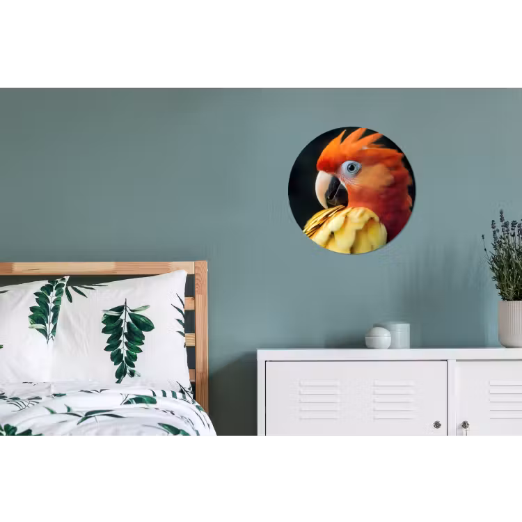 Wandcirkel - aluminium - Close-up - Papegaai - Veren - Oranje — 4