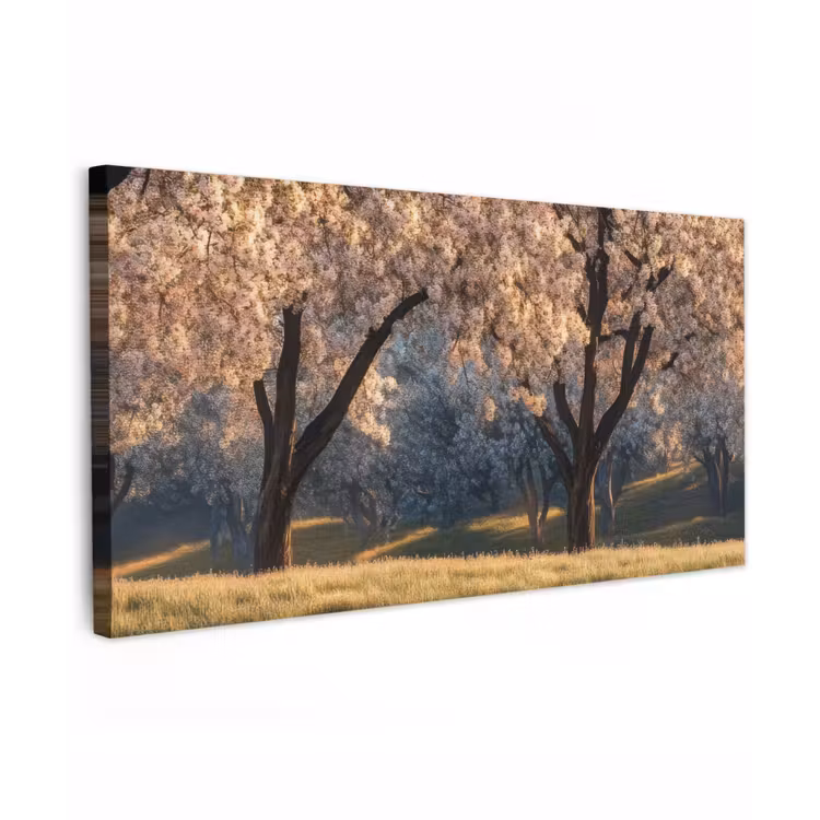 Buiten canvas - Bomen - Bloesem - Lente — 1