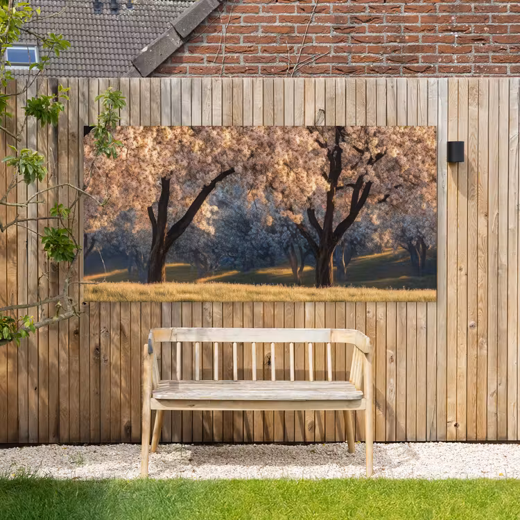 Buiten canvas - Bomen - Bloesem - Lente — 3