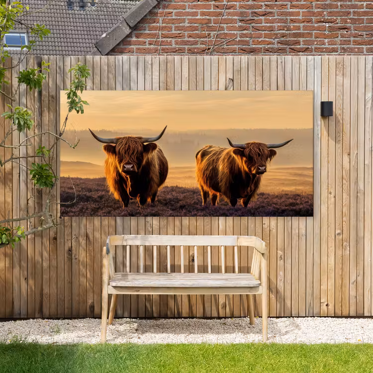 Buiten canvas - Schotse hooglanders - Heide - Landschap - Dieren — 3