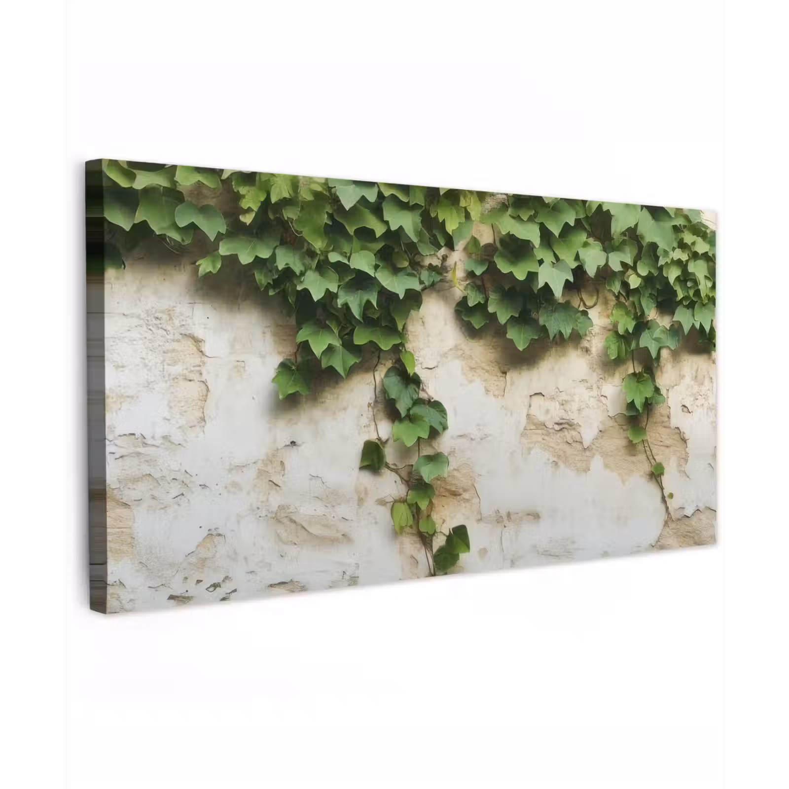 Buiten canvas - Klimop - Muur - Groen — 1