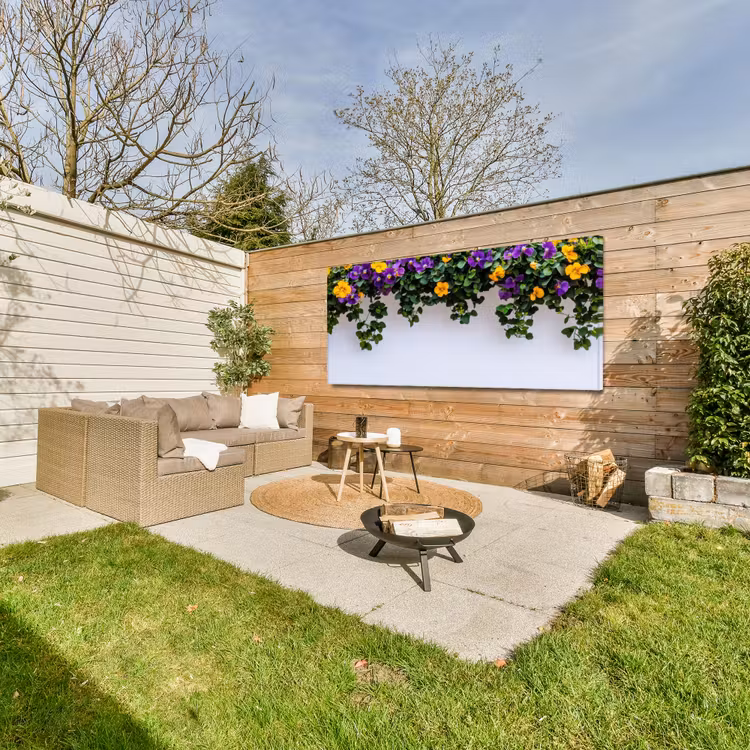Buiten canvas - Bloemen - Muur - Geel - Paars — 5