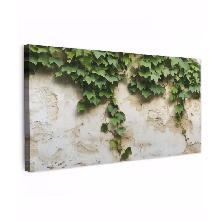 Buiten canvas - Klimop - Muur - Groen — 1