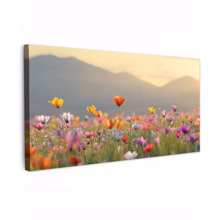 Buiten canvas - Bloemenveld - Bergen - Zonlicht - Bloemen — 1