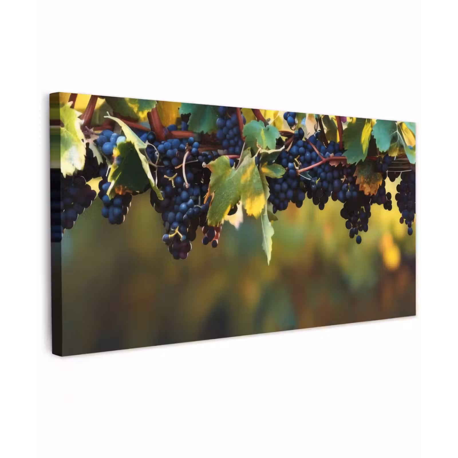 Buiten canvas - Druiven - Wijn - Natuur - Groen — 1