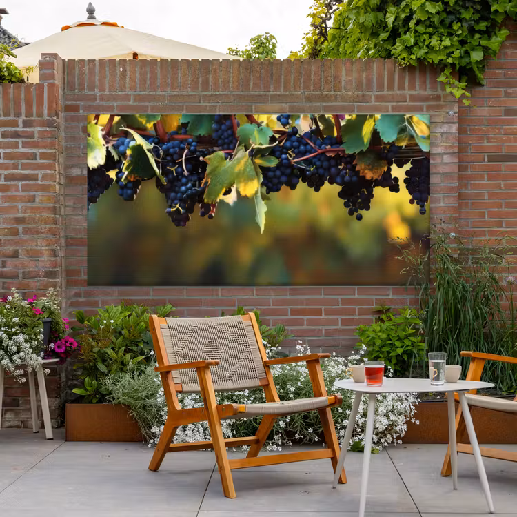Buiten canvas - Druiven - Wijn - Natuur - Groen — 2