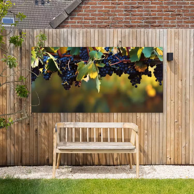 Buiten canvas - Druiven - Wijn - Natuur - Groen — 3