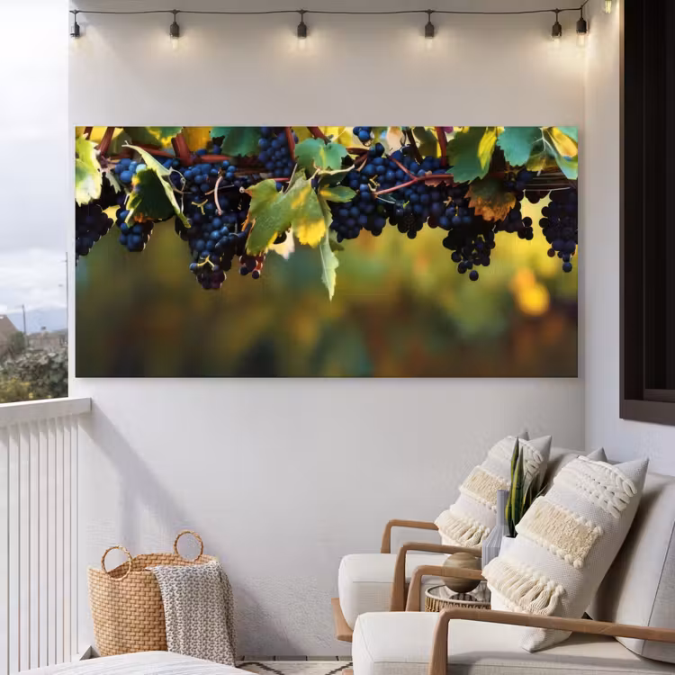 Buiten canvas - Druiven - Wijn - Natuur - Groen — 4