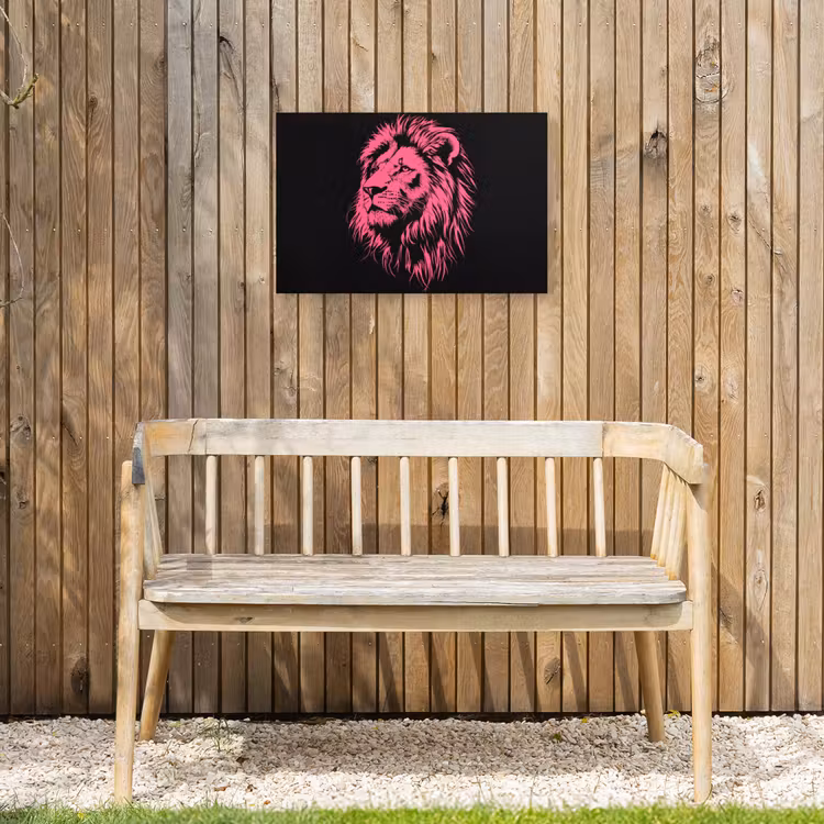 Buiten canvas - Leeuw - Zwart - Roze - Neon — 3