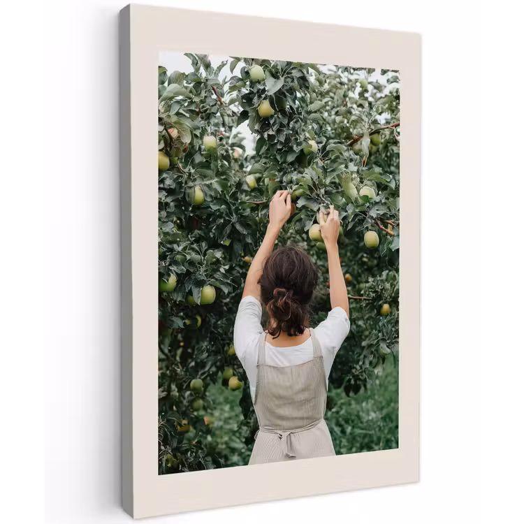 Buiten canvas - Boom - Appels - Plukken - Natuur — 1