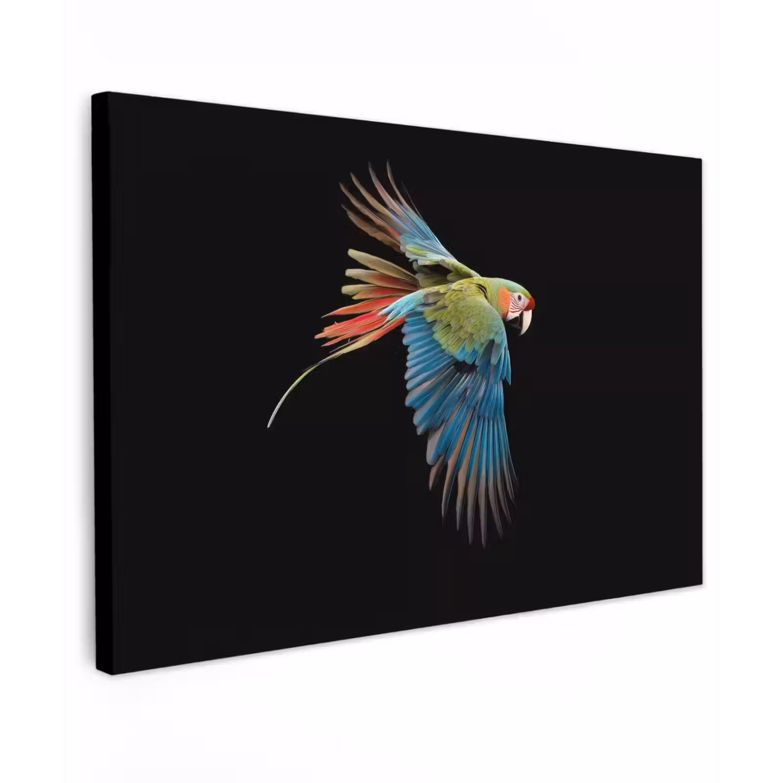 Buiten canvas - Papegaai - Kleurrijk - Vleugels - Sierlijk — 1