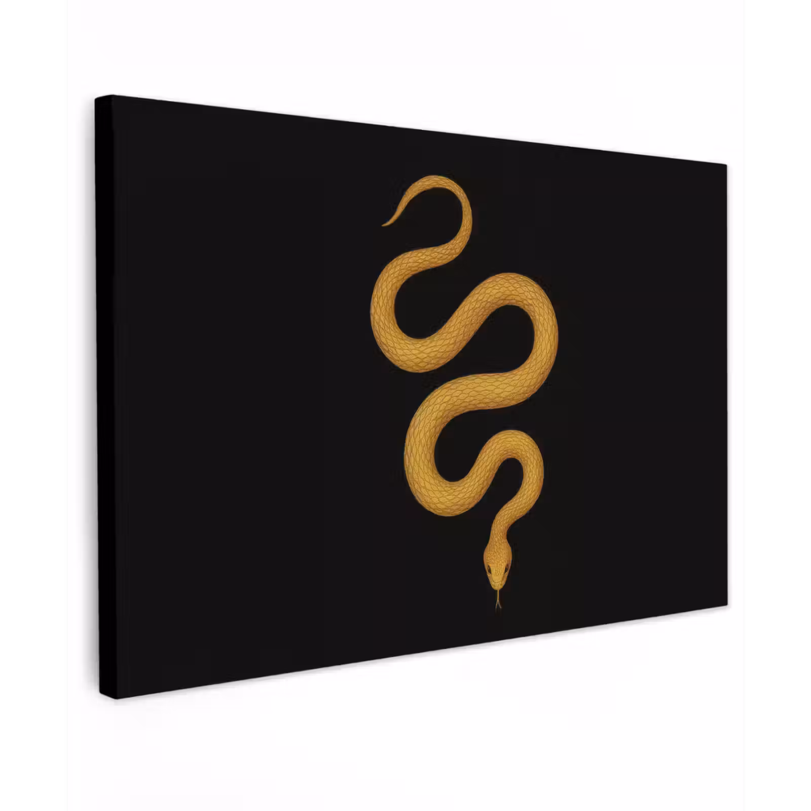 Buiten canvas - Slang - Minimalistisch - Goud — 1