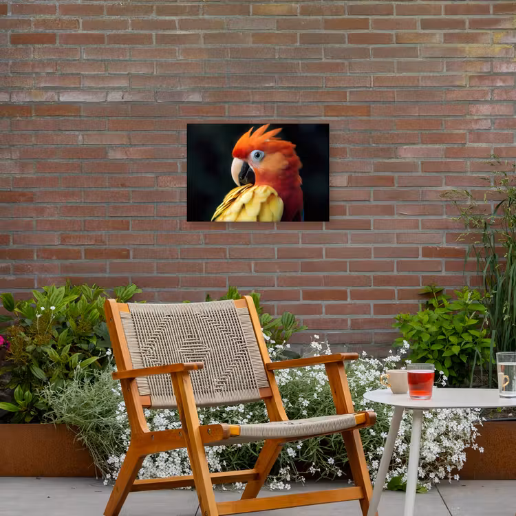 Buiten canvas - Close-up - Papegaai - Veren - Oranje — 2